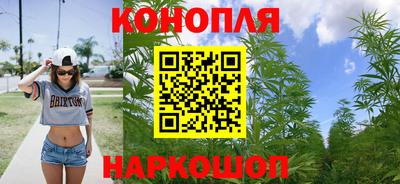 тгк Обь